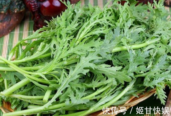 养生|农村独有的治病野菜,养生保健俩不误,城里人苦寻不得的养生菜