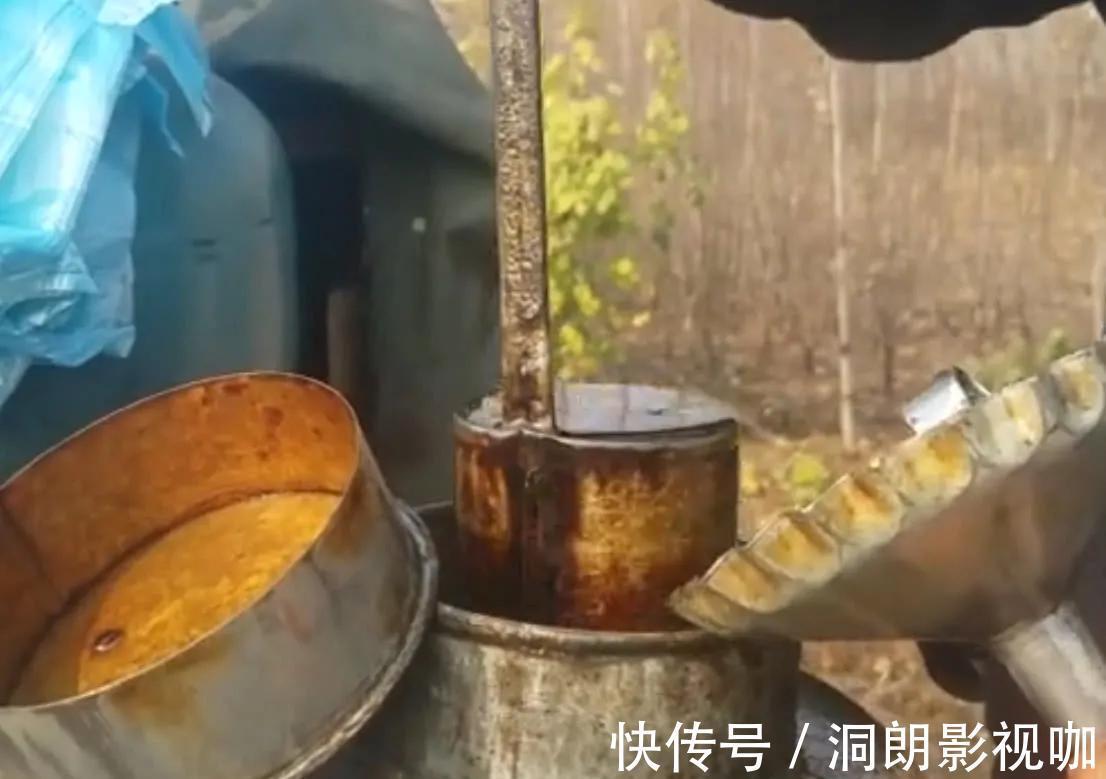 香油|一斤香油15元，什么样的芝麻才能磨出告诉你假香油的真相