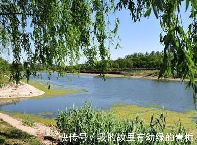 开篇|陆游夏末郊游,写下一首七律,开篇就直抒胸臆,尾联更值得细读