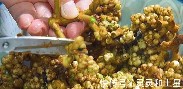 冬季农村人不买枇杷膏，多采这个食材，就能熬大一罐，舒心过冬！