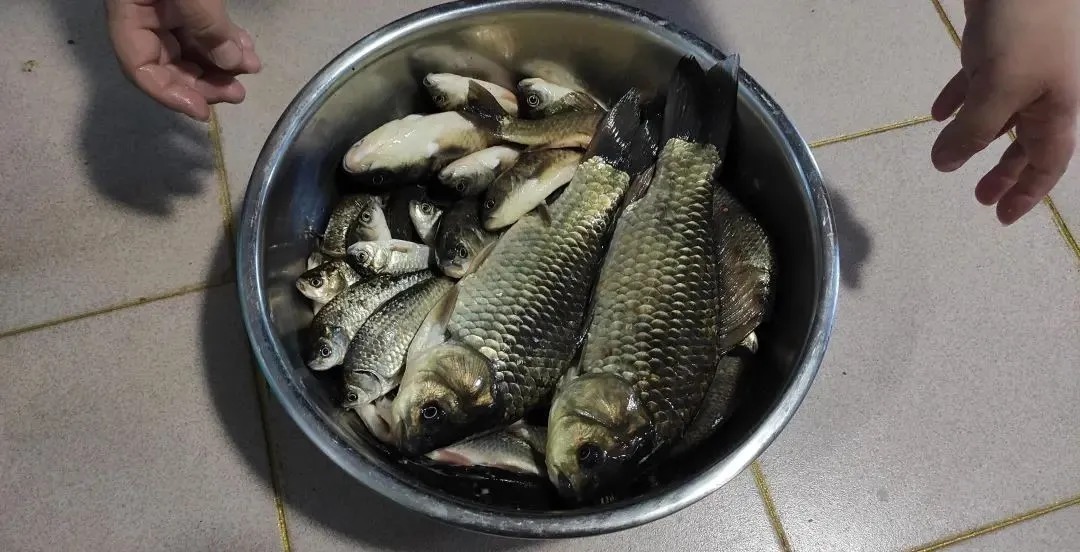 冬季野钓,傻坐一天无鱼咬钩?给你四条建议,其实大板鲫很好钓