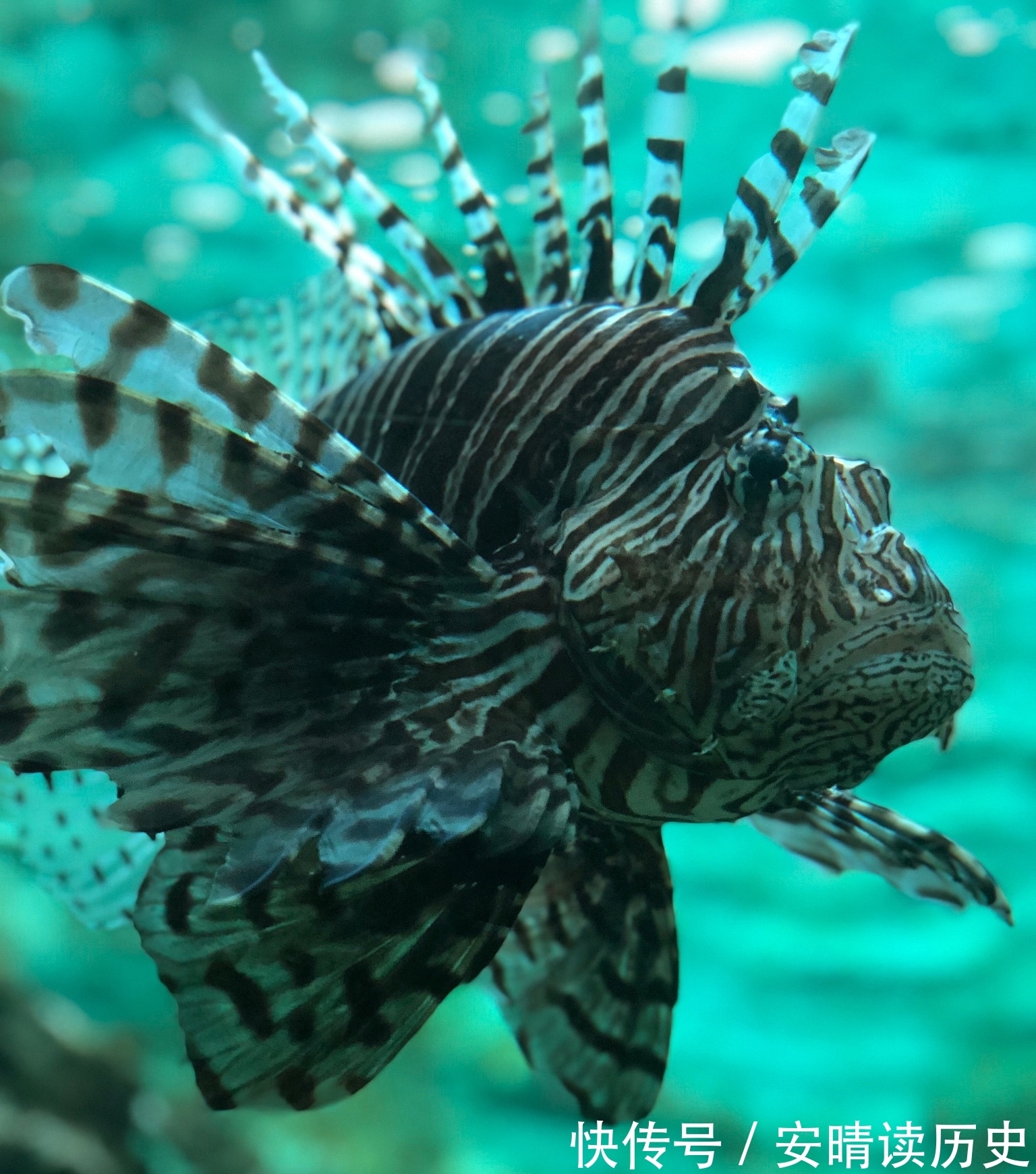 超前点播|《心动4》吃香难看,大结局开启超前解锁?网友们纷纷怒怼