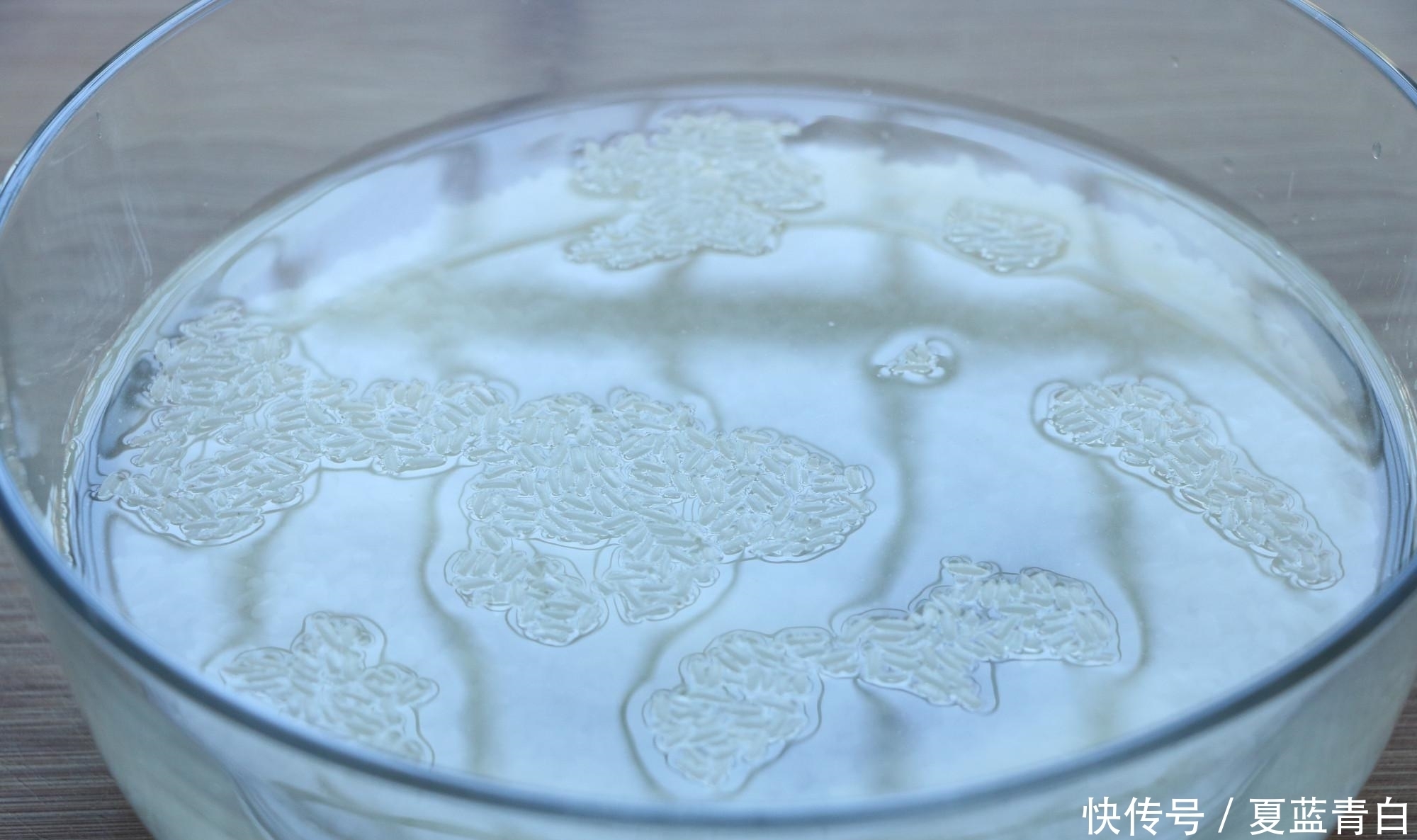 强多|超级好吃的懒人煲仔饭,简单省事,比叫外卖强多了