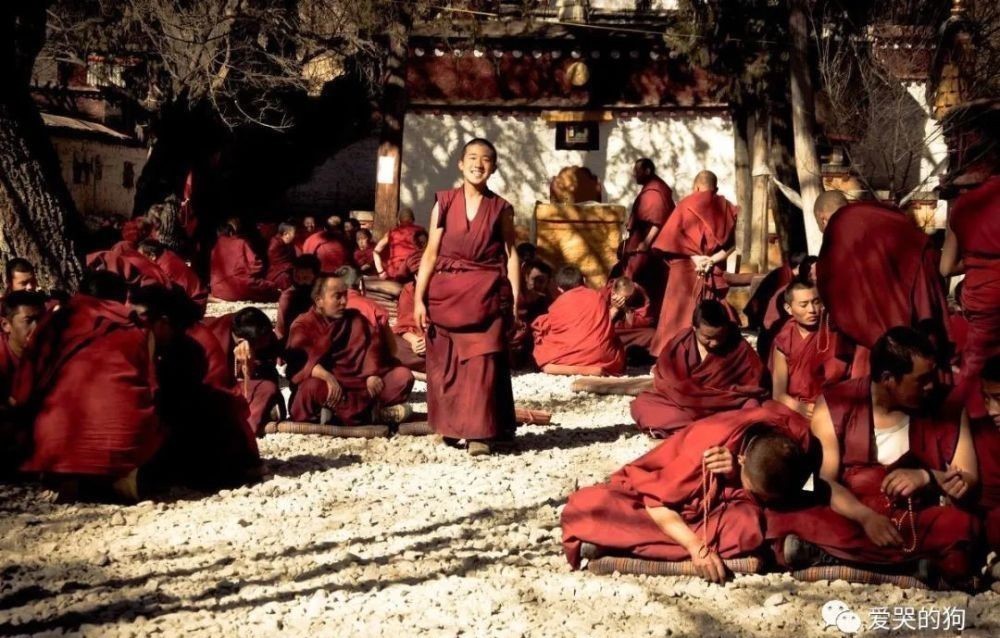 诗僧|和尚写下一首禅理诗,告诉了世人很多大道理,每一句都是至理名言