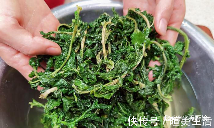 刮刮油|很多人只吃果肉,其实叶子才是宝贝,多捡些回家,一晒一烀,真香