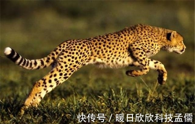 西施!贾平凹:人生十悟,67岁,年近古稀的年纪才明白