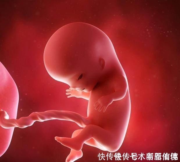 坏事|四维做到一半,小家伙竟然在妈妈腹中干“坏事”,连医生都乐了