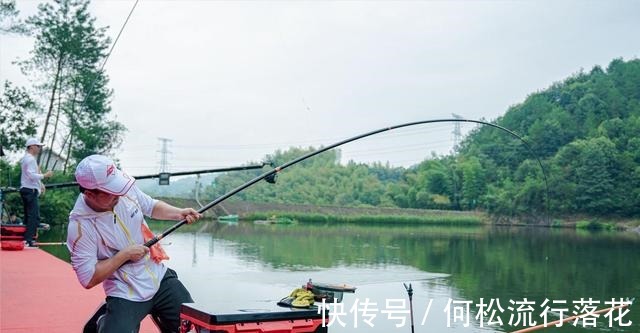 鱼类|什么鱼喜欢吃甜食喜欢吃甜食的鱼类盘点,钓鱼饵料的甜度搭配!