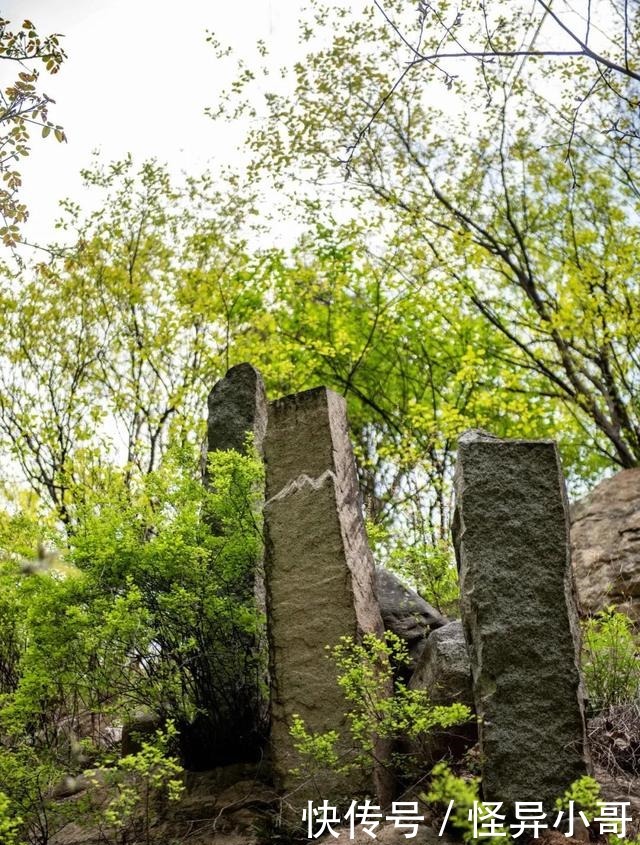 蜀道“实在陕，不在川”，为何叫“蜀道”