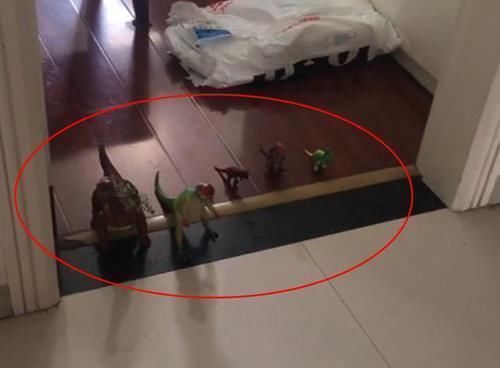 妹妹|“超粘人哥哥”走红,写作业将妹妹放书桌旮旯,妹妹乖巧似洋娃娃