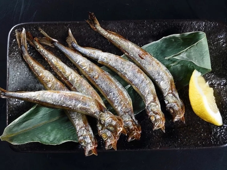 极致|大菊铁板烧丨把传统的铁板烧做到了极致