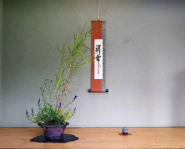 山野草，也高雅！