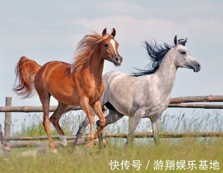 生肖鼠|未来三年，事业青云万里，有贵人相助，富gui惹不起的四大生肖