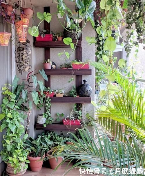 花盆|这样的阳台,那院子我也不换,美得太过分,今生只做个闲人了!