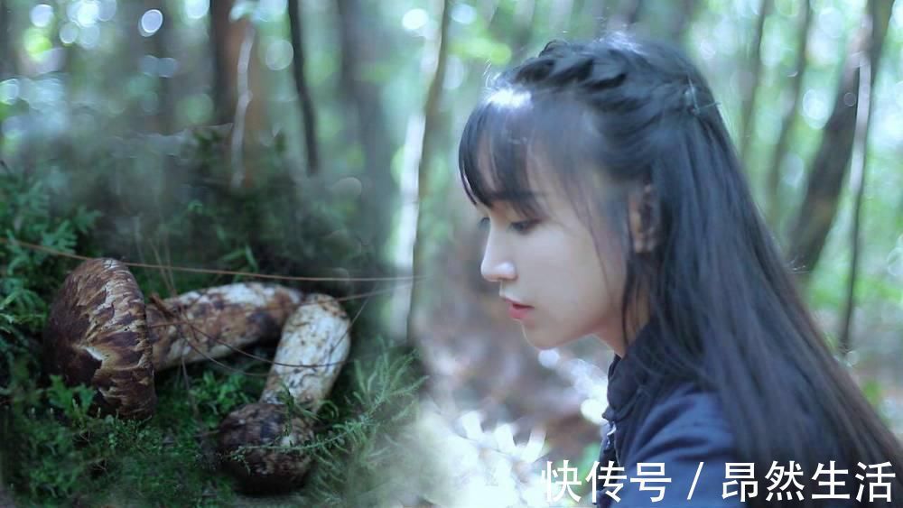 李子柒身边人谈及视频背后的故事,暖心的举动让人感动