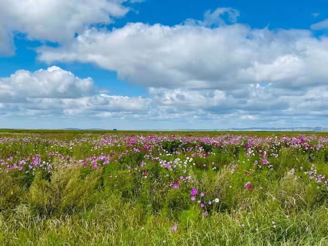 修复|矿山微生物生态修复技术交流会圆满召开