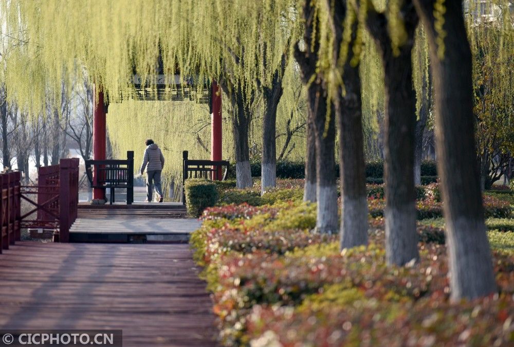 老年|春染大地万物苏 正是踏青好时节