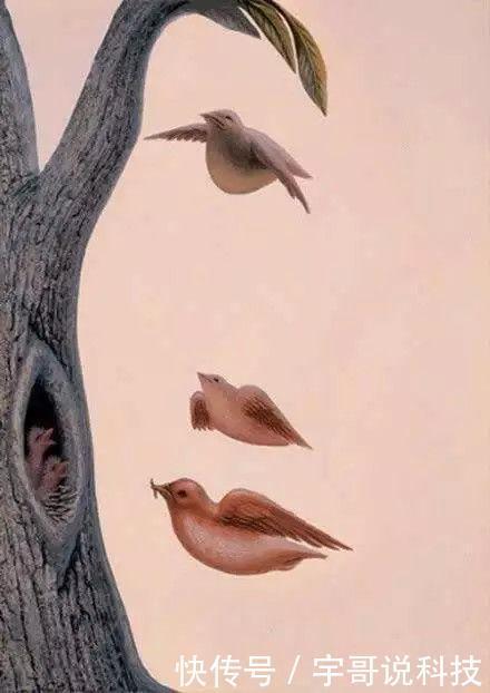  老年痴呆|新版老年痴呆测试：三题全对祝贺你，大脑不仅聪明还很健康！