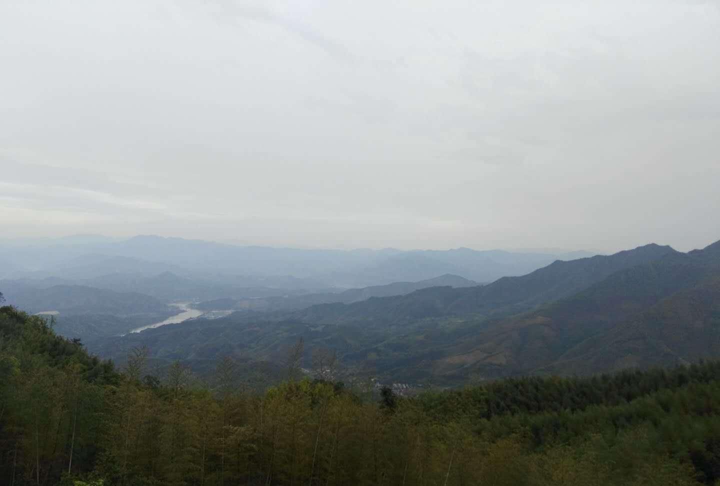 子路|子路对曰“有之,诔曰祷尔于上下神祇”子曰丘之祷久矣