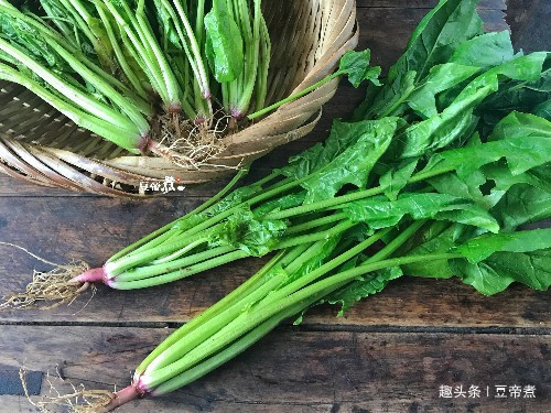 惊蛰|此菜不贵营养好,现在吃正是时候,贫血头晕的人,尤其要多吃