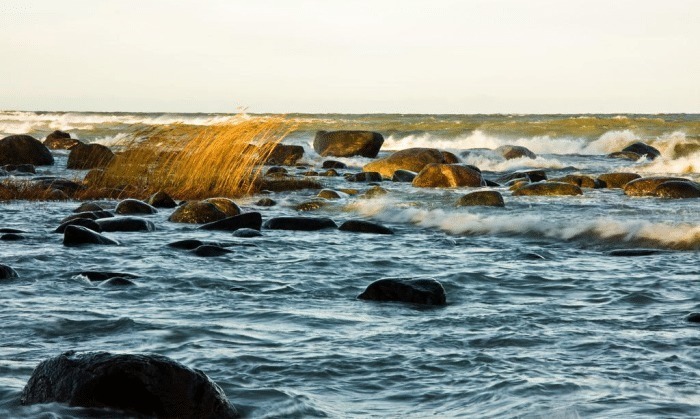 星座|他们是天生的实力派星座:沉着冷静,能成大事!