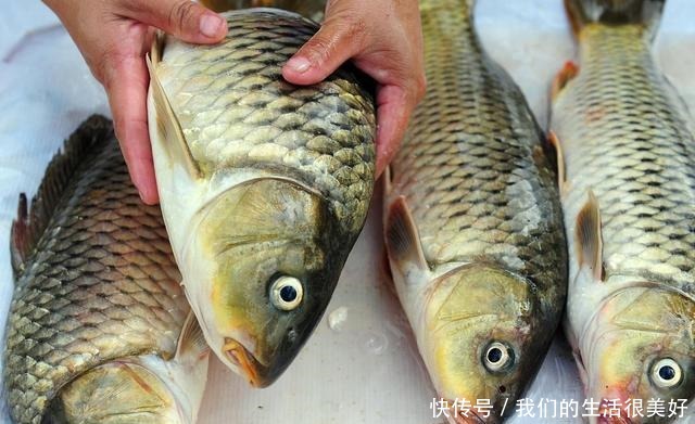 菜市场最“坑”的3种鱼,大多数人经常买,鱼贩子扔掉也不吃