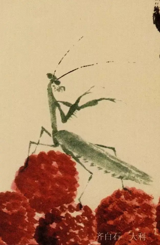 蝈蝈$国画技法图典——草虫篇:蝗虫 蚂蚱 蝈蝈 螽斯 螳螂 蟋蟀