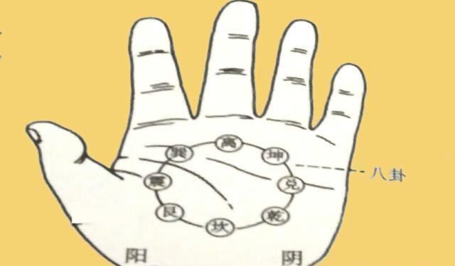 益胃|“脾虛百病生”,脾虛的人,注意三個方面健脾,常吃三物做三事