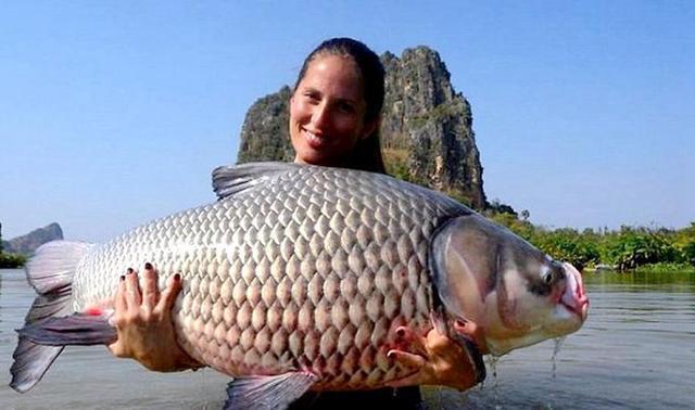 鱼肉|这5种鱼平时要少吃,或含有甲醛和重金属,看下有你常吃的吗