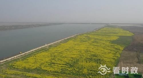 人间四月芳天气晴好 踏青赏花正当时