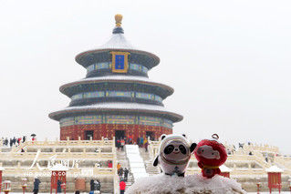 北京故宫|北京迎来虎年首场降雪