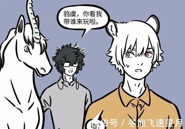 老虎|非人哉又迎来新角色,没有以人类形态登场,看造型是大士的最爱