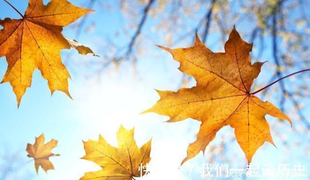 服药|高血压如何预防心脑血管病发作？医生忠告：记住这4点