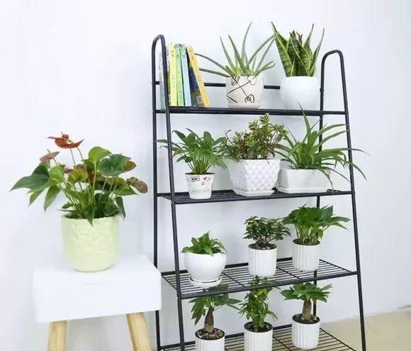 养花占地方？阳台支个架，再养10盆也不挤！