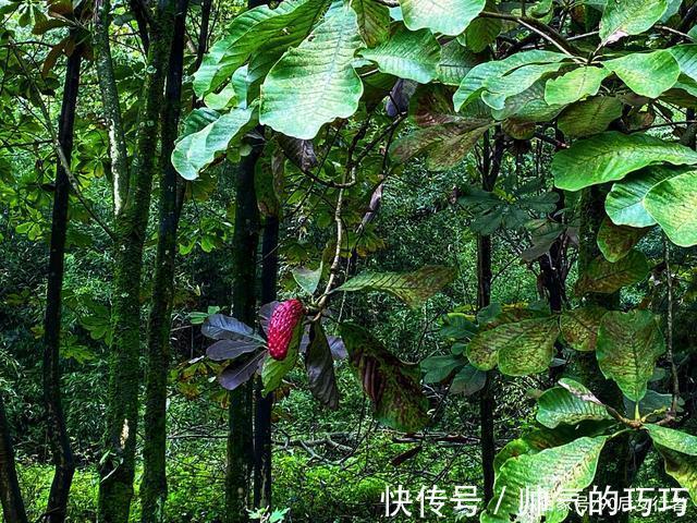 碎石公路|距成都80多公里有处冷门徒步胜地，风景原始，古道沧桑古庙深藏