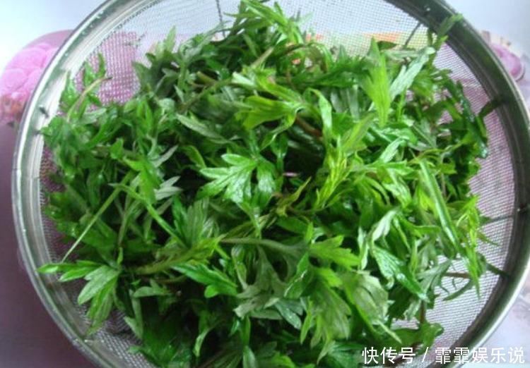 中年|小小艾草卻能做3味藥,如此做好處多多,改善手麻腰腿痛心理疲勞