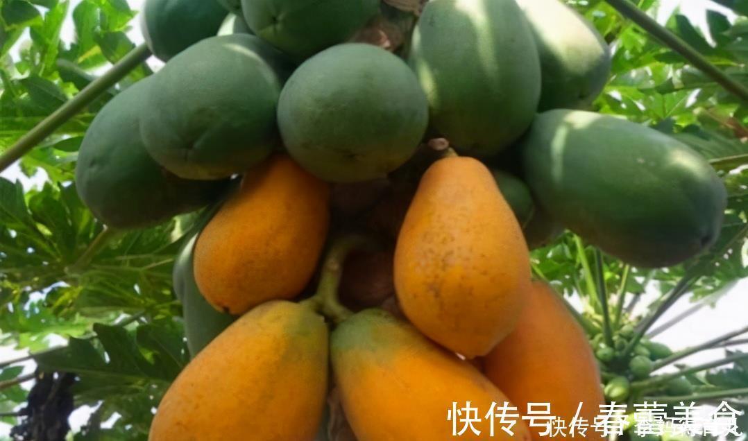 陈医师|女性坚持吃3种食物，补充营养、滋润肌肤，好吃又不贵！