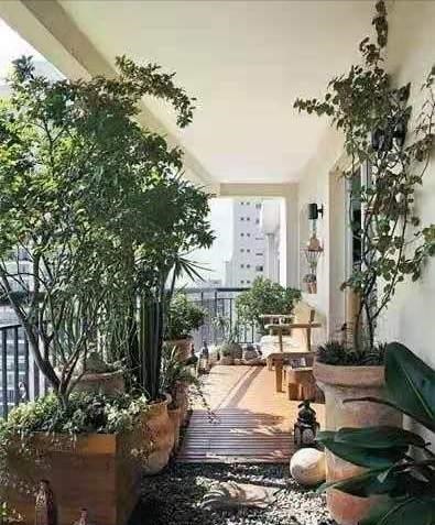 养花高手不买一楼房子，庭院生活，一个阳台就能实现，羡慕