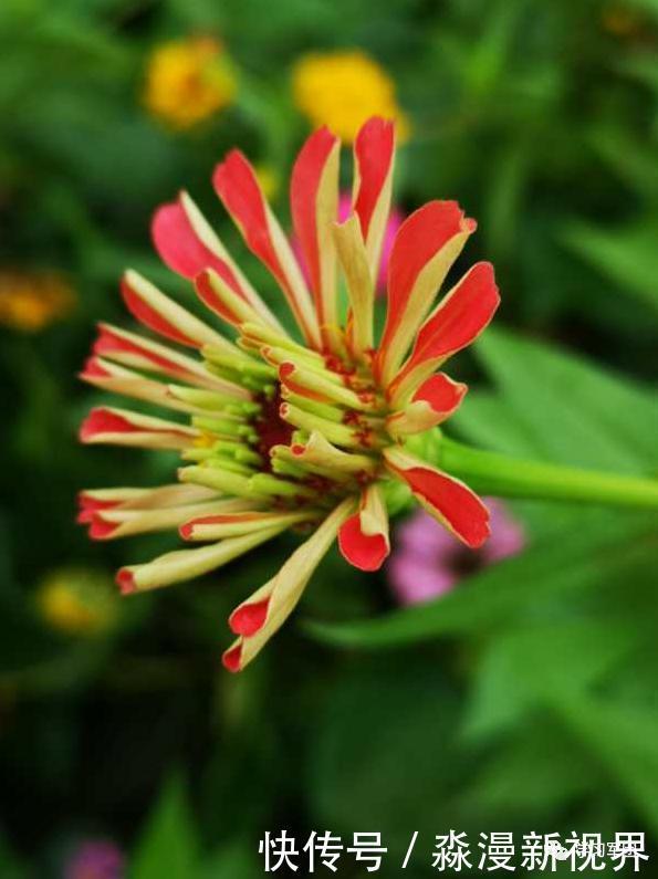 晚间悦读|坚持跑步的每一天里,你的身体正在发生这些变化