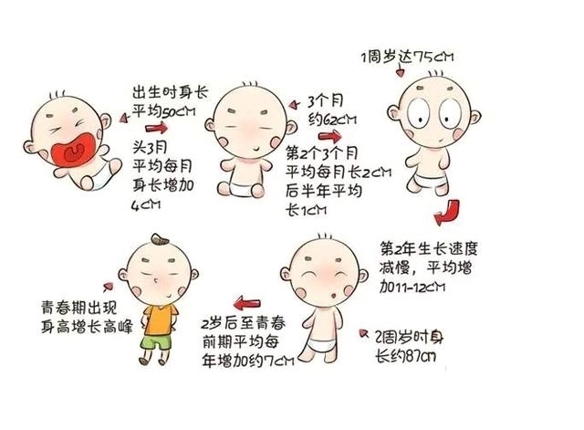 身高|都说养儿日日新,新在哪呢?长个子呗