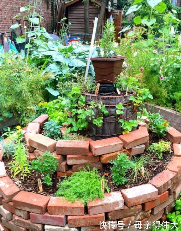 基础款|有院子就该捯饬,普通材料这么一弄有创意有美感,成本''两碗饭''