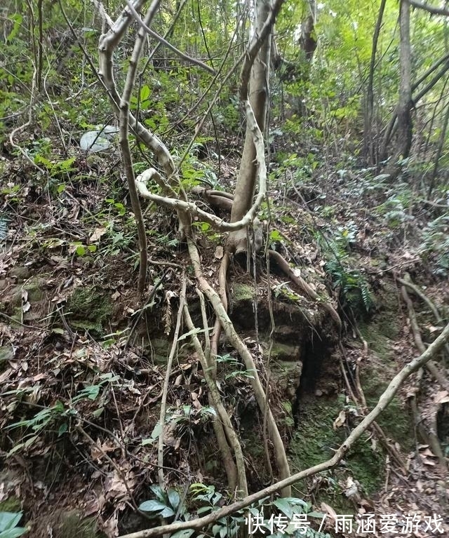 五指山|平远五指石，梅州境内最值得一看的景观，太震撼了