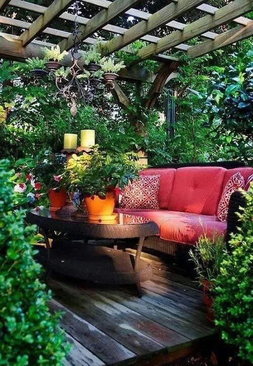 品种|花店的花2天不到就枯了,并不是品种不好,而是养护方法有问题