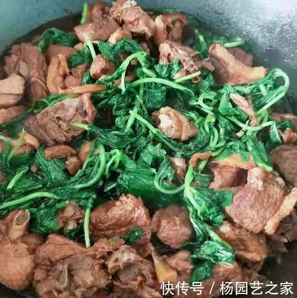 腥臭味|鸭子去腥别用姜,教你2招诀窍,鸭肉鲜香入味,好吃又无腥味