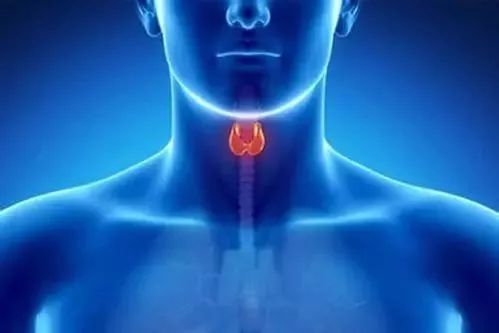 一身|经络不通,肝气郁结怎么办拍拍这几处,疏通经络一身轻松