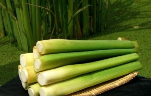 抗癌|癌症虽不能治疗,常吃4种“抗癌”食物,吃了就比不吃强