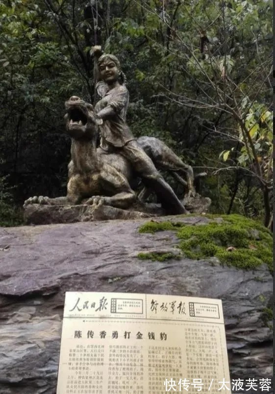 采访@19岁女子徒手打死豹子,在晚年采访中袒露后悔:宁愿自己从未打死