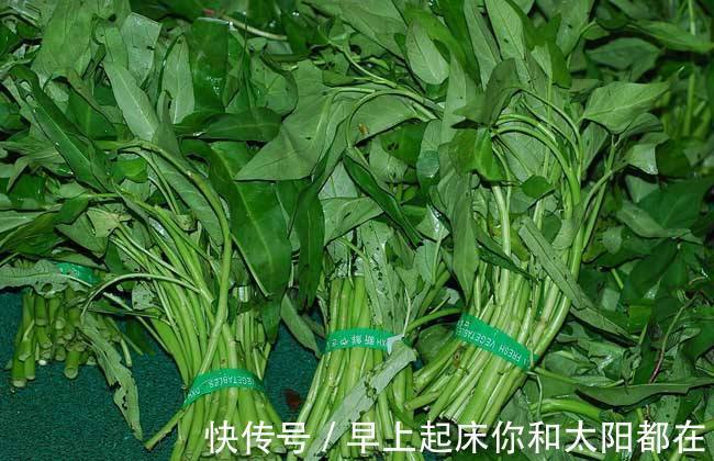蕹菜|糖尿病人的福音常吃“此菜”,堪比打胰岛素,血糖乖乖降下来!