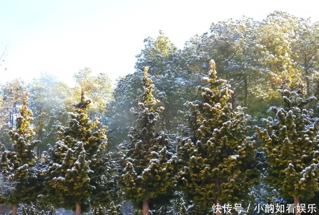 写意天池，童话天子山，一波云龙雪景美图来袭