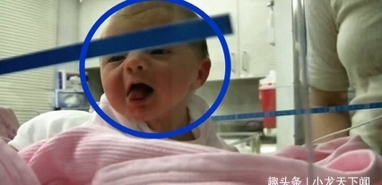 保温箱|新生儿还在保温箱里,听到爸爸在叫他,下一秒动作无法淡定
